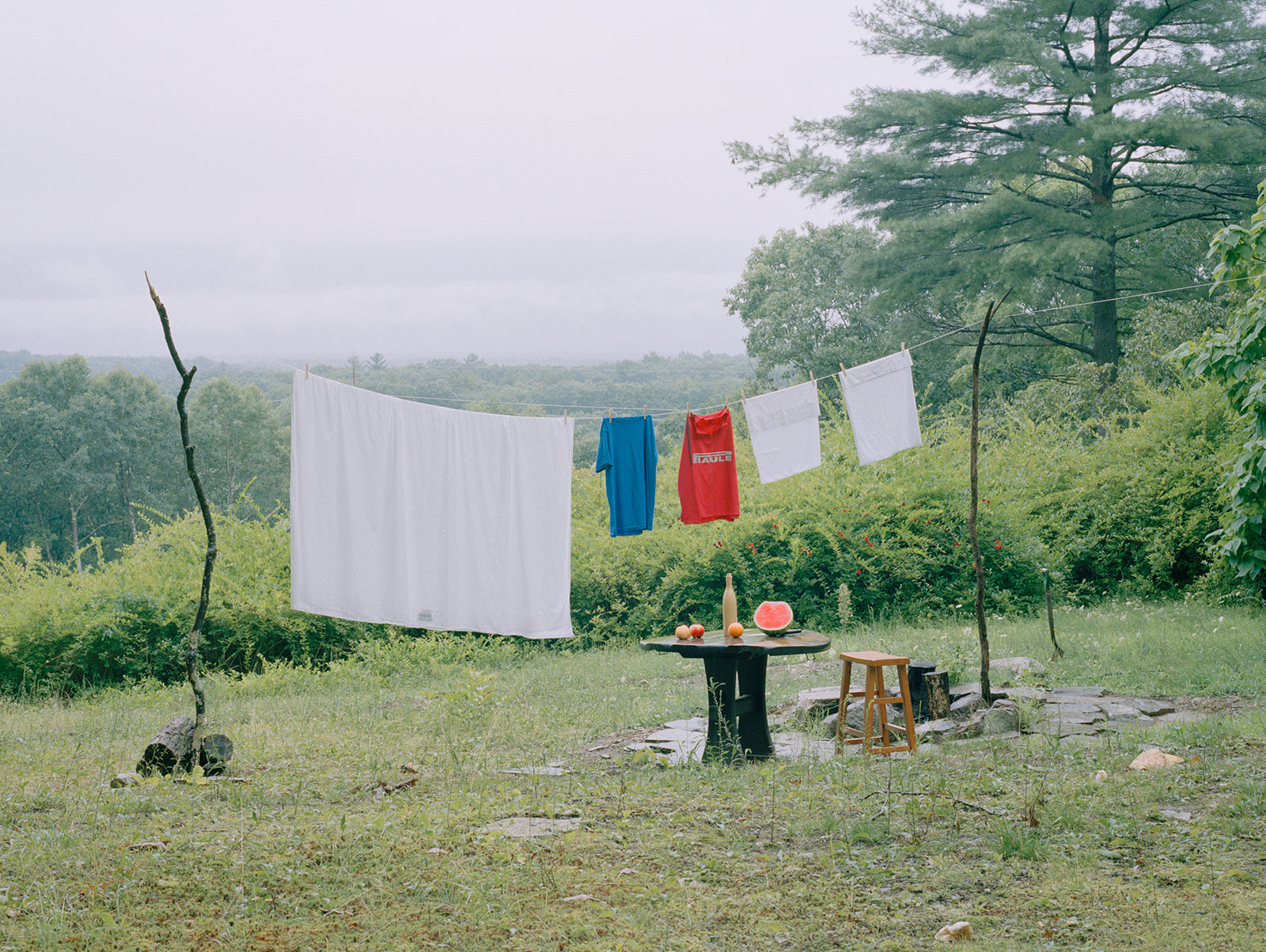  laundry line in nature in upstate new york drying the best white sheets and clothing